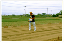 散布作業だけを依頼