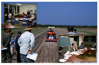 ねぎっ娘クラブ