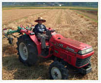 テッターレイキ