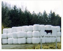 ウエストファーム1